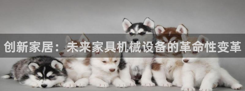 九游会老哥俱乐部：创