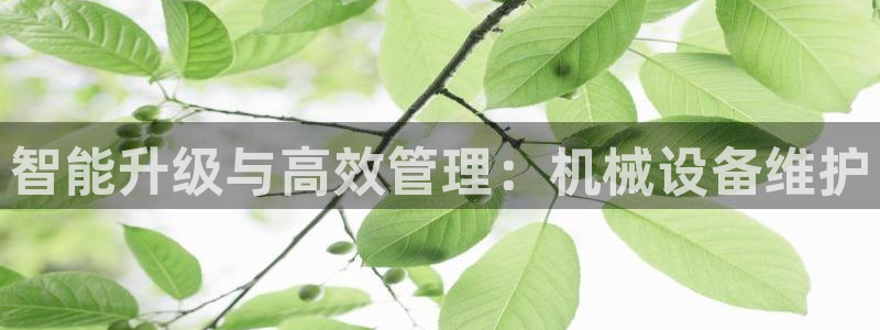 九游会跟ag是怎么一回事