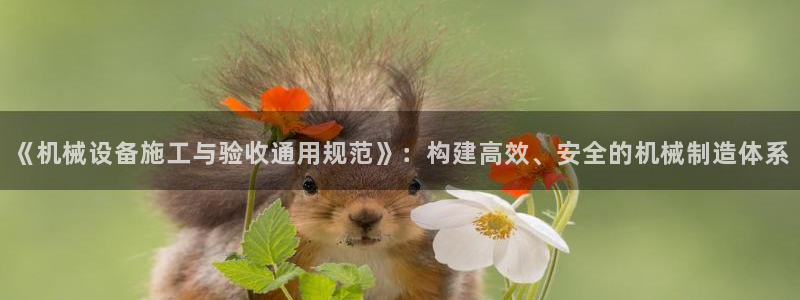 九游会ag官方网站在哪